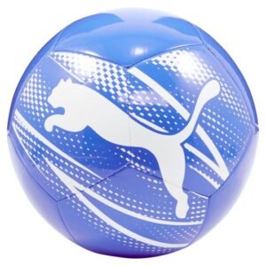 puma football/soccer ball