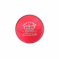 TEST STAR PINK (6 Balls)